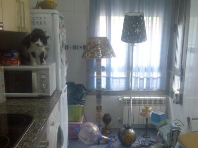 20100124180354-imagen112.jpg