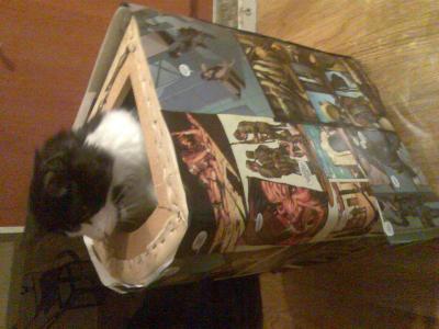 20100124180610-imagen014.jpg